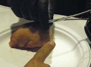 Suturing Pigs Feet