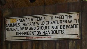 feed-animals